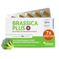 Produktbild: Brokkolisprossen Extrakt Kapseln | höchstdosiert | 280.000 mg Brokkoli | 99% stabilisiertes Sulforaphan | 3.600 mg Brokkolisprossen pro Kapsel | 60% besser bioverfügbar | Brassica PLUS