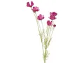 Produktbild: BOLTZE Stielblume Cosmea grün/pink 91cm