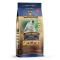 Produktbild: WOLFSBLUT Polar Night Adult Rentier/Kürbis 12,5kg