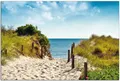Produktbild: Wallario Sichtschutzzaunmatten Auf dem Sandweg zum Strand