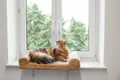 Produktbild: Fensterliegebrett für Fensterbänke Liegeplatz für Katze Schlafplatz Liegemulde