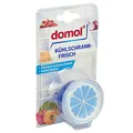 Produktbild: domol Kühlschrank-Frische frisch 40,0 g, 1 St.
