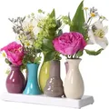 Produktbild: Jinfa kleine Vasen Set - 7 mini Vasen aus Keramik- kleine Blumenvasen bunt für Tischdeko Fensterbank - Moderne Deko - Bunt