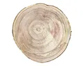 Produktbild: INNA-Glas Servierplatte Deko Holzscheibe Jessalyn, Natur, Ø38-40cm, Holz