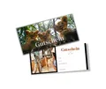 Produktbild: itenga Geschenkgutschein zum Selbst-Ausfüllen – 21 x 9,8 cm – hochwertiger Karton – persönliche Geschenkidee für viele Anlässe (Motiv Zoo)