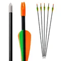 Produktbild: Bogenkönig Pfeile für Bogenschießen 5er Set aus Fiberglas mit Spitze Metal Kinder Bogen 28 Zoll (Rund Spitze)