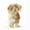 Produktbild: 20 Servietten Tiere Niedlicher Rauhaardackel als Tischdeko. Papierservietten mit Motiv. Auch für Decoupage und Serviettentechnik 33x33cm