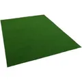 Produktbild: Snapstyle Kunstrasen Rasenteppich mit Noppen Kingston Grün Uni 200x100cm