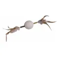 Produktbild: Nobby Tier-Beschäftigungsspielzeug Katzenspielzeug Matatabi Stick mit Rasselball