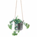 Produktbild: Eva Solo Kräutertopf - Selbstbewässernder - 15 cm