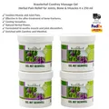 Produktbild: Kräuterhof Beinwell Gel Schmerzpflege für Gelenke, Knochen & Muskeln 4x250ml