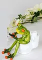 Produktbild: Frosch mit Handy auf der Toilette Klofrosch Toilettenfrosch Klo