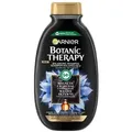 Produktbild: Garnier Balancing Shampoo for Oily Hair and Dry Scalp - Active Charcoal and Black Seed Oil, 400ml