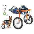 Produktbild: VEVOR Hunderollstuhl für Hinterbeine, Haustierrollstuhl mit 2 Rädern, Höhe, Breite & Länge verstellbar, Hundewagen mit stoßdämpfenden Rädern, für verletzte, behinderte Hunde 21,77–39,92kg