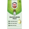 Produktbild: Nexa Lotte Fruchtfliegen-Falle 4062700437216