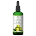 Produktbild: Amla Öl 100 ml – Kaltgepresst – Reines Trägeröl – Basisöl – AmlaHaaröl – Haar...