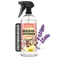 Produktbild: bio-chem Katzen Geruchsentferner Spray 750 ml | Enzymreiniger mit Mikroorganismen | Gegen Katzenurin auf Sofa, Teppich & Polster | Probiotisch | Made in Germany
