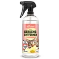 Produktbild: bio-chem Geruchsentferner Katzenurin Spray 750 ml Enzymreiniger Mikroorganismen