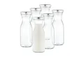 Produktbild: MamboCat Vorratsglas 6er Set Weithalsflasche Karaffe 250 ml + To 53 Deckel silber, Glas