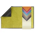 Produktbild: Primaflor Schmutzfangmatte CLEAN – Grün, 40x60 cm | Saugstarke, Schwer entflammbare Fußmatte | Rutschfester Türvorleger für Innen | Türmatte für Eingangsbereich | Sauberlaufmatte mit Gummirand