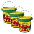 Produktbild: Original Beckmann TOMATEN DÜNGER Sparpack 3 x 1 kg Gemüsedünger für Bio-Anbau