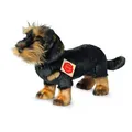 Produktbild: Teddy Hermann 91923 hond ruwhaar teckel 28 cm, knuffeldier, pluche dier met gere