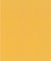 Produktbild: Rasch Vliestapete Vliestapete 746082 Gelb-Ocker Uni 10,05 m x 0,53 m