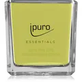 Produktbild: ipuro Essentials Lime Light Duftkerze 125 g