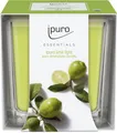 Produktbild: ipuro Lime Light Duftkerze 6.5 cm grün IFC2203