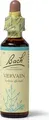 Produktbild: BACHBLÜTEN Vervain Tropfen 20 ml