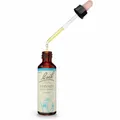 Produktbild: BACHBLÜTEN Vervain Tropfen 20 ml PZN00161660