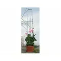 Produktbild: Bellissa - Ranksäule Aktion 130 Cm Hoch Spalier Rankhilfe Rankgitter