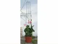 Produktbild: Bellissa Ranksäule Aktion 130 cm hoch Spalier Rankhilfe Rankgitter