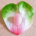 Produktbild: Yoni-Ei aus Rosenquarz groß nicht gelocht.
