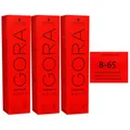Produktbild: Schwarzkopf Igora Royal 3 x 60 ml 8-65 hellblond schoko gold Haarfarbe Cremefarb