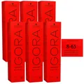 Produktbild: Schwarzkopf Igora Royal 6 x 60 ml 8-65 hellblond schoko gold Haarfarbe Cremefarb