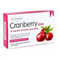 Produktbild: Dr. Böhm Cranberry plus Granulat