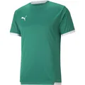 Produktbild: Puma teamliga Trikot - grün