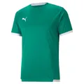 Produktbild: Puma Teamliga Trikot Kurzarm Herren - Grün / Weiß