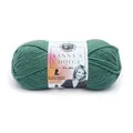 Produktbild: 860177 Vanna's Choice Yarn, Sage