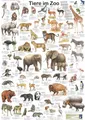 Produktbild: Close Up Poster Tiere im Zoo Poster deutsch DIN A1 59,4 x 84,1 cm