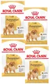 Produktbild: 4 x 3 kg Royal Canin Pomeranian Adult (€ 8,97/kg) Zwergspitz-Futter, trocken