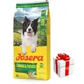 Produktbild: JOSERA Lachs & Kartoffel -Grain Free 12,5kg + Überraschung für den Hund