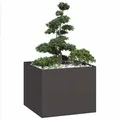 Produktbild: vidaXL Pflanzkübel Schwarz 100x100x80 cm Stahl