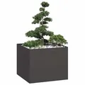 Produktbild: vidaXL Pflanzkübel Schwarz 100x100x80 cm Stahl, Pflanzschale, Garten-Garten-Pflanzkübel, Outdoor-Pflanzgefäß, Hochbeet, Pflanzgefäß, Blumenkasten
