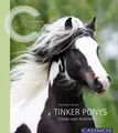 Produktbild: Tinker Ponys, Christiane Slawik