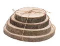 Produktbild: Spetebo Holz Baumscheibe natur - 4er Set von 13-22 cm - Deko Holz Scheibe Echtholz Tischdeko - Dekorieren Basteln Bemalen Brandmalen
