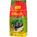Produktbild: proFagus Holzkohle GRILLIS, 10,0 kg, 1 St.