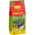 Produktbild: ProFagus Holzkohlebriketts (10 kg) (60001040)