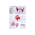 Produktbild: OLYMPIA Laminierfolie 100 X DIN A6 125 Mikron